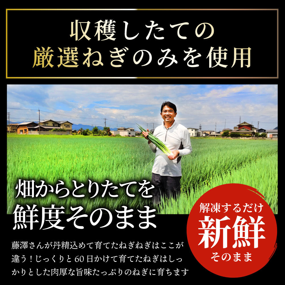 カットねぎ 500g ねぎ ネギ 藤澤さん家のカットねぎ 葱 冷凍 とれたてネギ 香川県産 冷凍野菜  時短 料理 簡単調理 包丁いらず