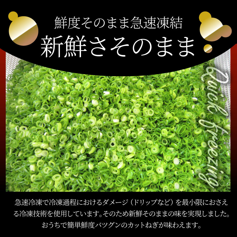 カットねぎ 500g ねぎ ネギ 藤澤さん家のカットねぎ 葱 冷凍 とれたてネギ 香川県産 冷凍野菜  時短 料理 簡単調理 包丁いらず