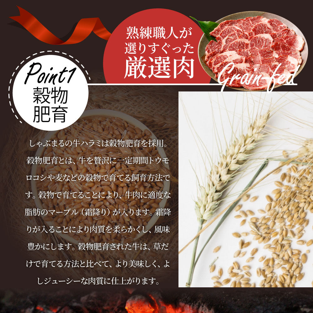 牛ハラミ焼肉（タレ漬け）500g（250g×2） タレ 赤身 はらみ 秘伝 焼肉 やきにく ハラミ アウトドア お家焼肉 BBQ キャンプ キャンプ飯