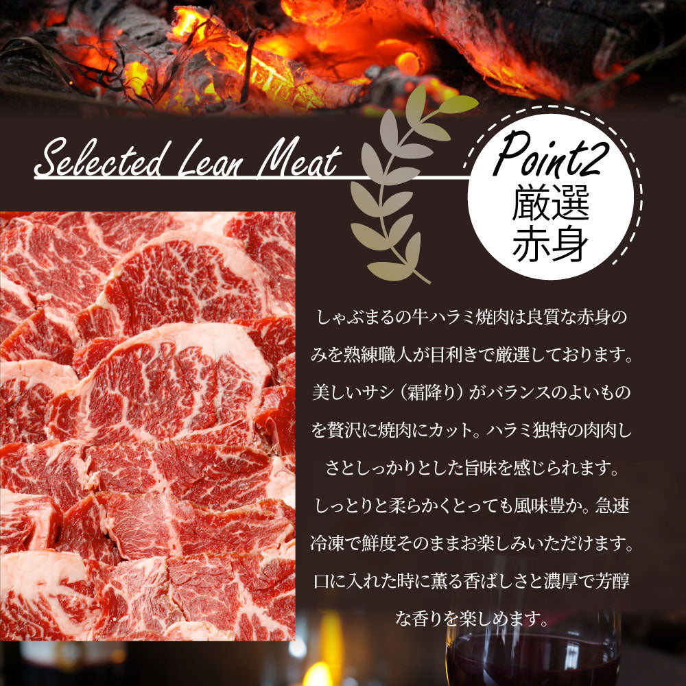 牛ハラミ焼肉（タレ漬け）500g（250g×2） タレ 赤身 はらみ 秘伝 焼肉 やきにく ハラミ アウトドア お家焼肉 BBQ キャンプ キャンプ飯