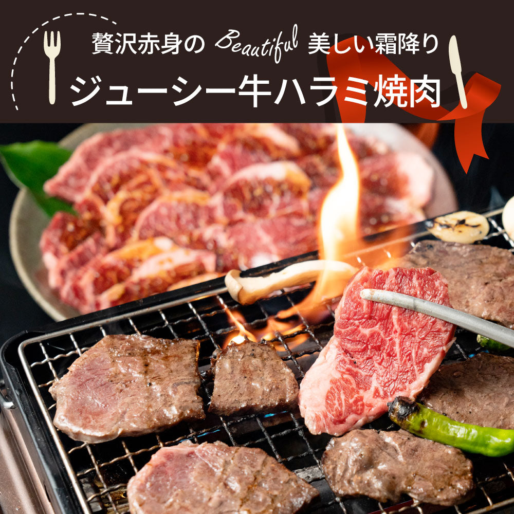 牛ハラミ焼肉（タレ漬け）500g（250g×2） タレ 赤身 はらみ 秘伝 焼肉 やきにく ハラミ アウトドア お家焼肉 BBQ キャンプ キャンプ飯