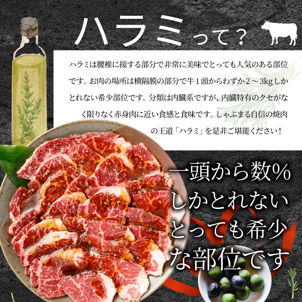 牛ハラミ焼肉（タレ漬け）500g（250g×2） タレ 赤身 はらみ 秘伝 焼肉 やきにく ハラミ アウトドア お家焼肉 BBQ キャンプ キャンプ飯