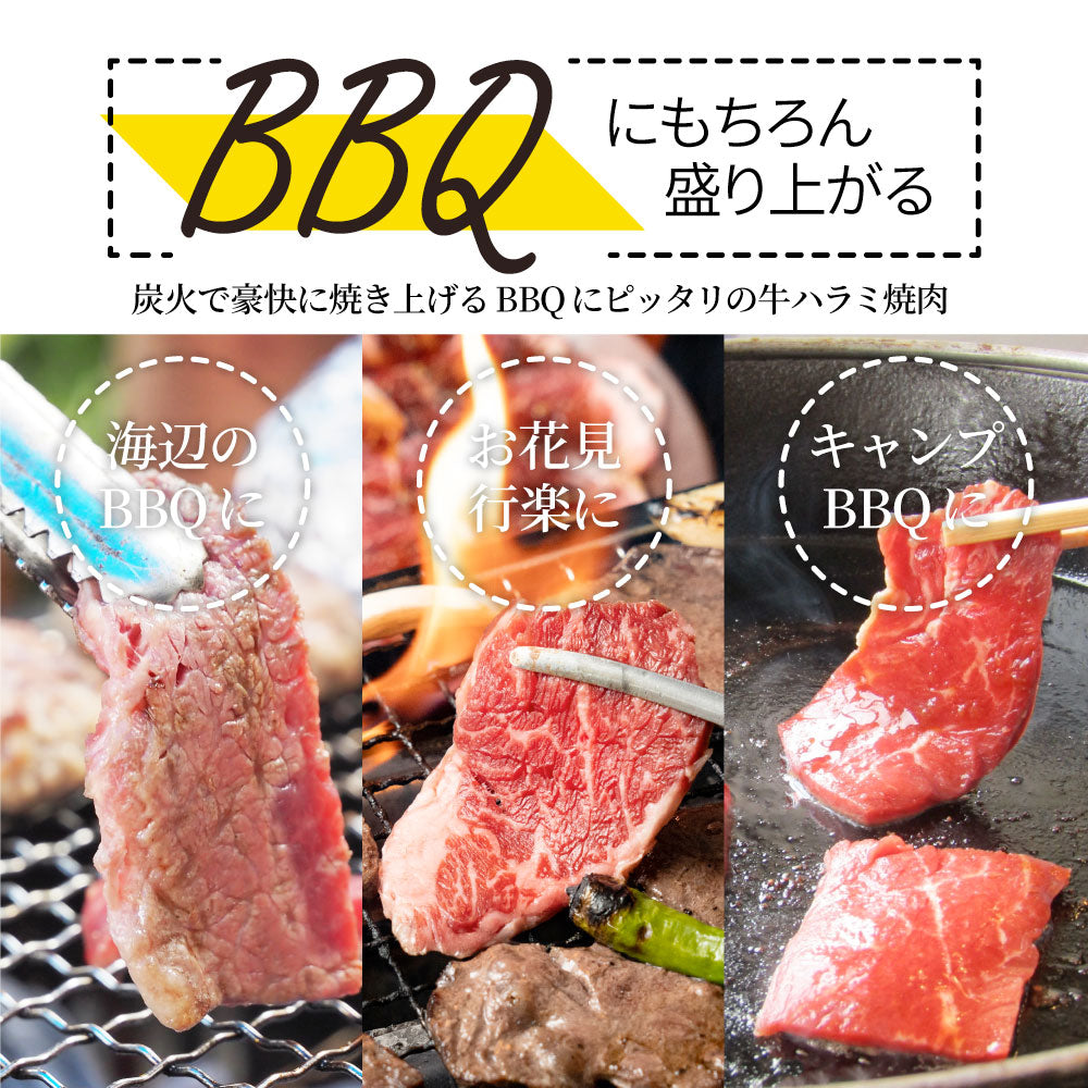 牛ハラミ焼肉（タレ漬け）500g（250g×2） タレ 赤身 はらみ 秘伝 焼肉 やきにく ハラミ アウトドア お家焼肉 BBQ キャンプ キャンプ飯