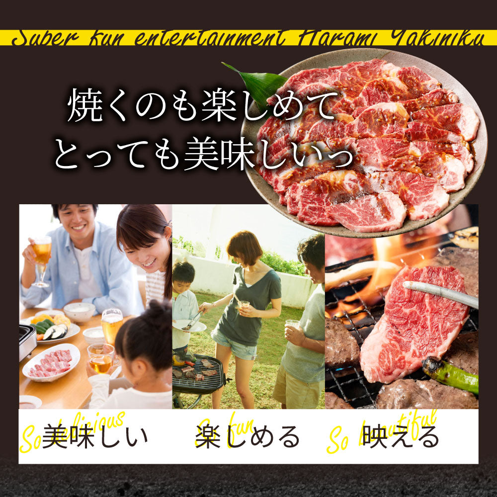 牛ハラミ焼肉（タレ漬け）500g（250g×2） タレ 赤身 はらみ 秘伝 焼肉 やきにく ハラミ アウトドア お家焼肉 BBQ キャンプ キャンプ飯