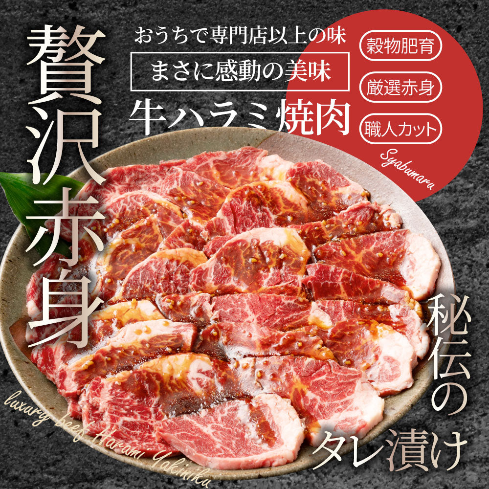 牛ハラミ焼肉（タレ漬け）500g（250g×2） タレ 赤身 はらみ 秘伝 焼肉 やきにく ハラミ アウトドア お家焼肉 BBQ キャンプ キャンプ飯