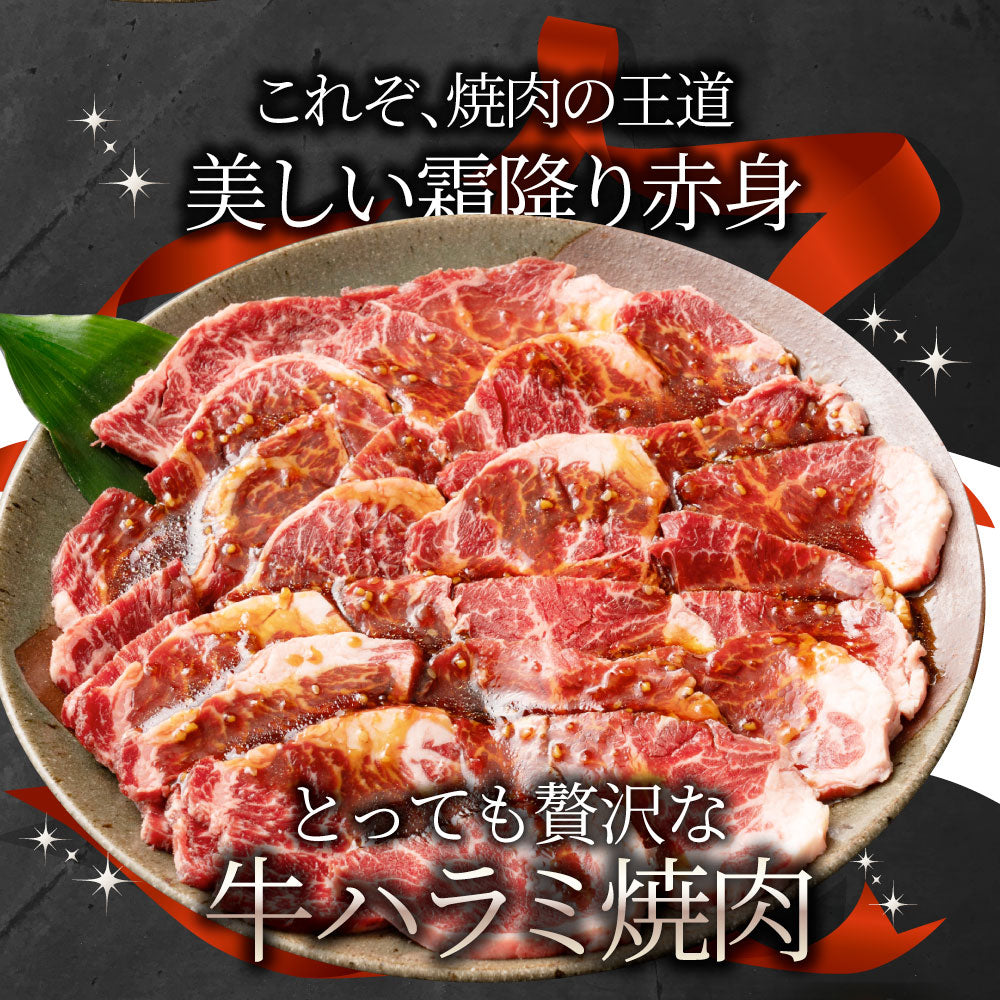 牛ハラミ焼肉（タレ漬け）500g（250g×2） タレ 赤身 はらみ 秘伝 焼肉 やきにく ハラミ アウトドア お家焼肉 BBQ キャンプ キャンプ飯