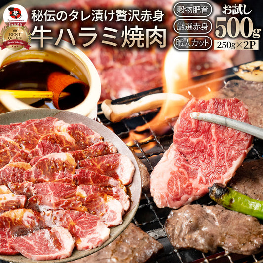 牛ハラミ焼肉（タレ漬け）500g（250g×2） タレ 赤身 はらみ 秘伝 焼肉 やきにく ハラミ アウトドア お家焼肉 BBQ キャンプ キャンプ飯