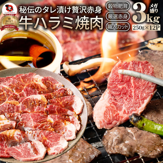 牛ハラミ焼肉（タレ漬け）3kg（250g×12） タレ 赤身 はらみ 秘伝 焼肉 やきにく ハラミ アウトドア お家焼肉 BBQ キャンプ キャンプ飯