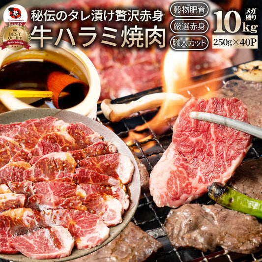 牛ハラミ焼肉（タレ漬け）10kg（250g×40） タレ 赤身 はらみ 秘伝 焼肉 やきにく ハラミ アウトドア お家焼肉 BBQ キャンプ キャンプ飯