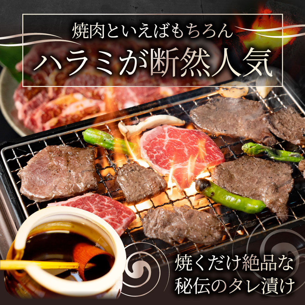 牛ハラミ焼肉（タレ漬け）500g（250g×2） タレ 赤身 はらみ 秘伝 焼肉 やきにく ハラミ アウトドア お家焼肉 BBQ キャンプ キャンプ飯