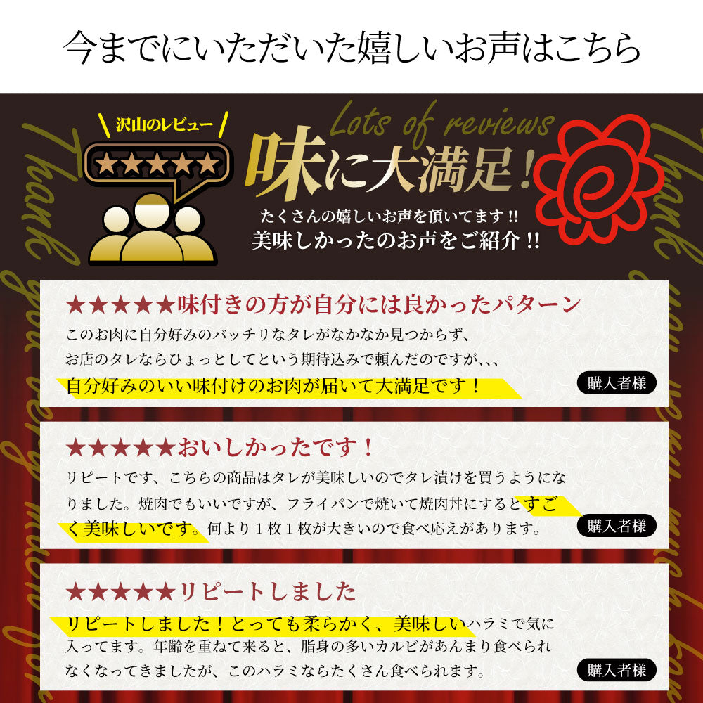 牛ハラミ焼肉（タレ漬け）500g（250g×2） タレ 赤身 はらみ 秘伝 焼肉 やきにく ハラミ アウトドア お家焼肉 BBQ キャンプ キャンプ飯