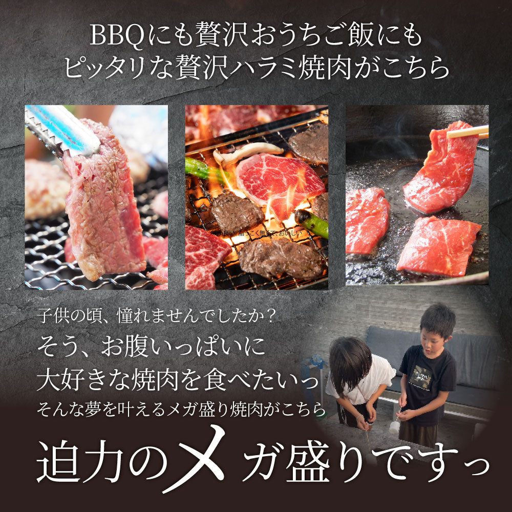 牛ハラミ焼肉（タレ漬け）500g（250g×2） タレ 赤身 はらみ 秘伝 焼肉 やきにく ハラミ アウトドア お家焼肉 BBQ キャンプ キャンプ飯