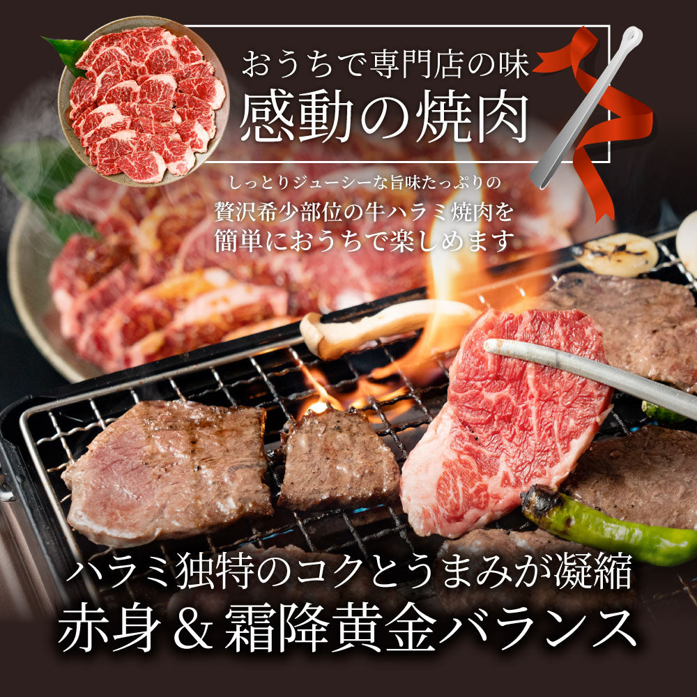 牛ハラミ焼肉（タレ漬け）500g（250g×2） タレ 赤身 はらみ 秘伝 焼肉 やきにく ハラミ アウトドア お家焼肉 BBQ キャンプ キャンプ飯