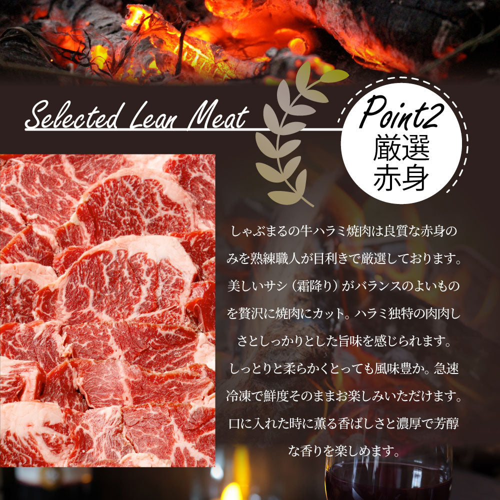 牛肉 肉 ハラミ 焼肉 1kg 250g×4P メガ盛り 赤身 はらみ バーベキュー 美味しい お中元 ギフト 食品 プレゼント 女性 男性 お祝い 新生活