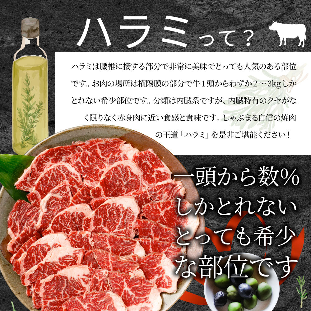 牛肉 肉 ハラミ 焼肉 1kg 250g×4P メガ盛り 赤身 はらみ バーベキュー 美味しい お中元 ギフト 食品 プレゼント 女性 男性 お祝い 新生活