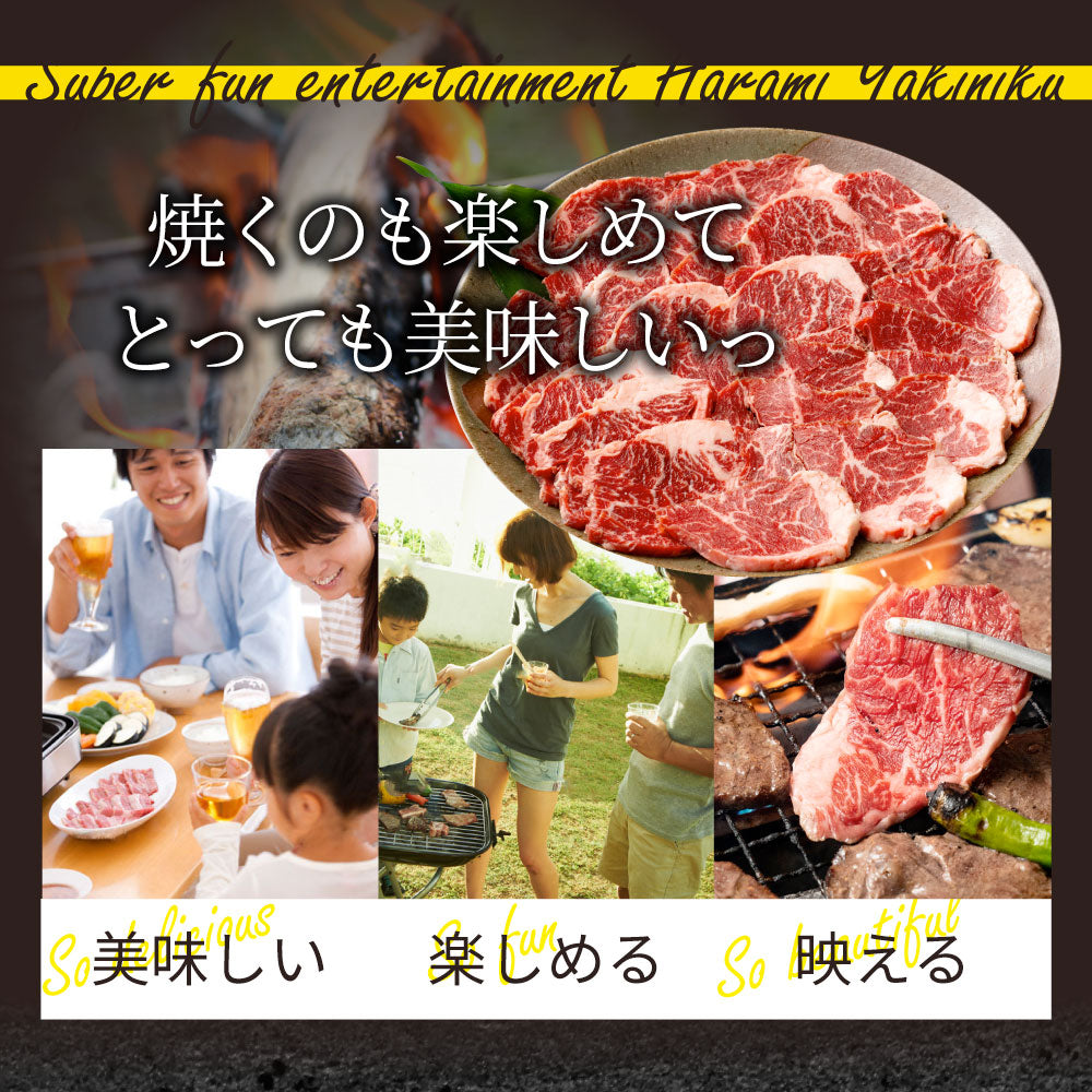 牛肉 肉 ハラミ 焼肉 1kg 250g×4P メガ盛り 赤身 はらみ バーベキュー 美味しい お中元 ギフト 食品 プレゼント 女性 男性 お祝い 新生活