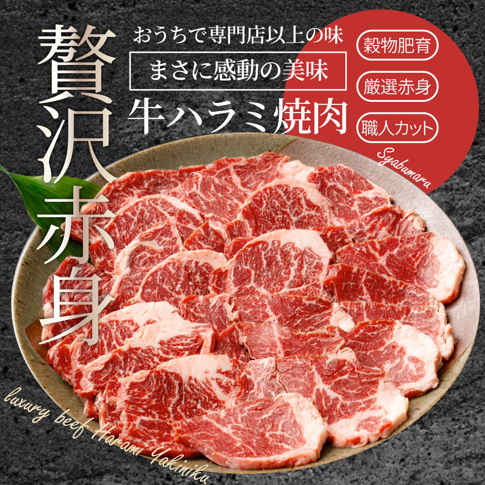 牛ハラミ焼肉 500g（250g×2P）焼肉 赤身 はらみ やきにく ハラミ アウトドア お家焼肉 送料無料 キャンプ キャンプ飯