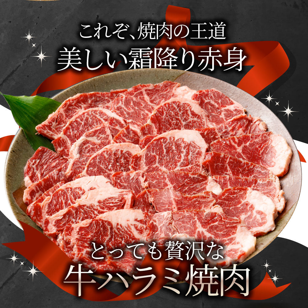 牛ハラミ焼肉 500g（250g×2P）焼肉 赤身 はらみ やきにく ハラミ アウトドア お家焼肉 送料無料 キャンプ キャンプ飯