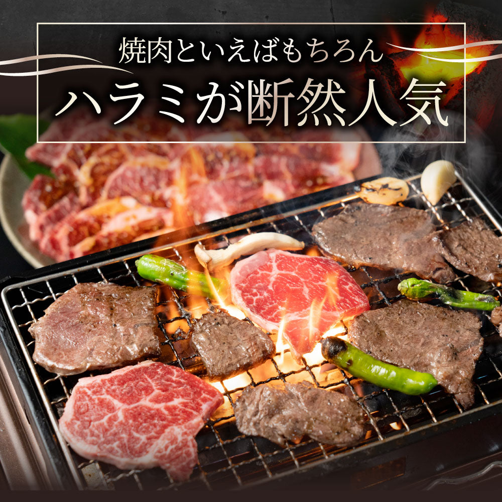 牛肉 肉 ハラミ 焼肉 1kg 250g×4P メガ盛り 赤身 はらみ バーベキュー 美味しい お中元 ギフト 食品 プレゼント 女性 男性 お祝い 新生活