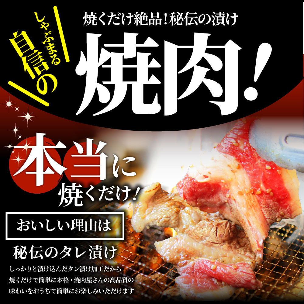 焼肉 セット 牛肉 肉 よりすぐり 3種盛り 3人前 福袋 ホルモン カルビ バーベキュー