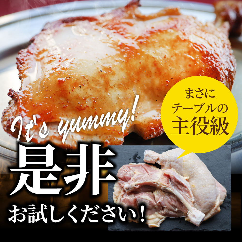 讃岐名物 骨付鳥 国産若鶏100％使用 特大サイズ 生タイプ 3本セット 約300g×3 骨付き鳥 骨付き鶏 おつまみ ローストチキン 骨付鶏 国産ひな鳥