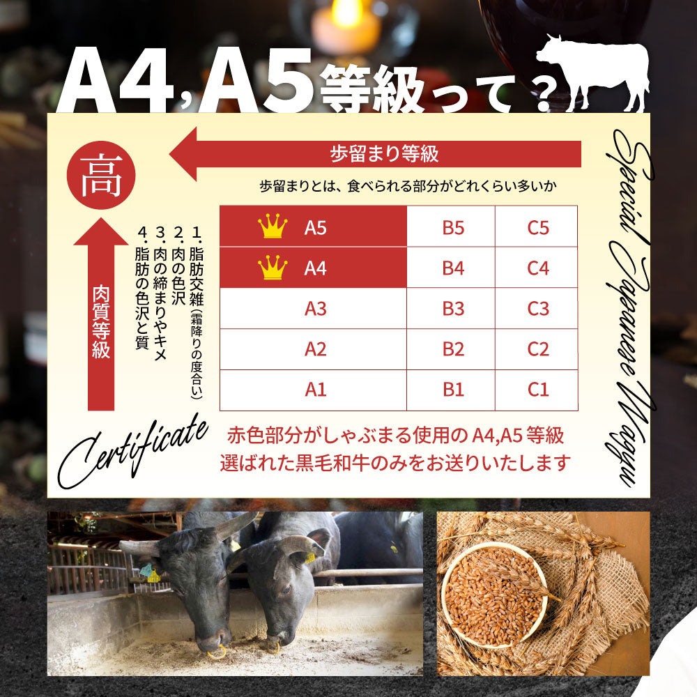 牛肉 肉 黒毛和牛 A4,5等級 とろける カルビ 焼肉 5kg （250g×20） お中元 ギフト 食品 プレゼント 女性 男性 お祝い 新生活 グルメ