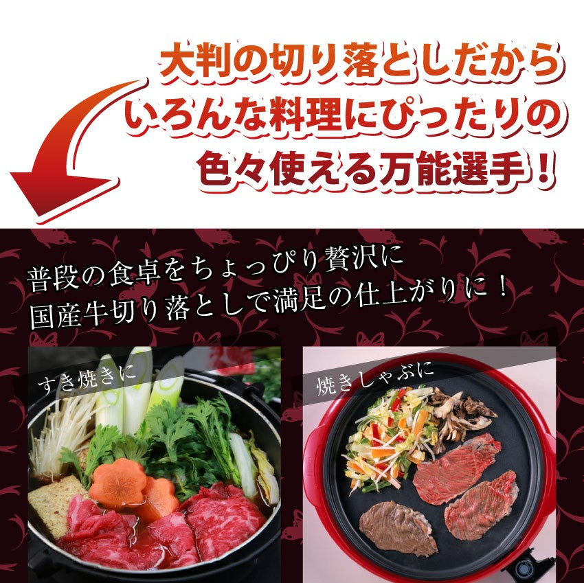 国産牛 切り落とし 贅沢 牛肉 300g お１人さま一個のみ限定 個包装 使い切り おすすめ こまぎれ