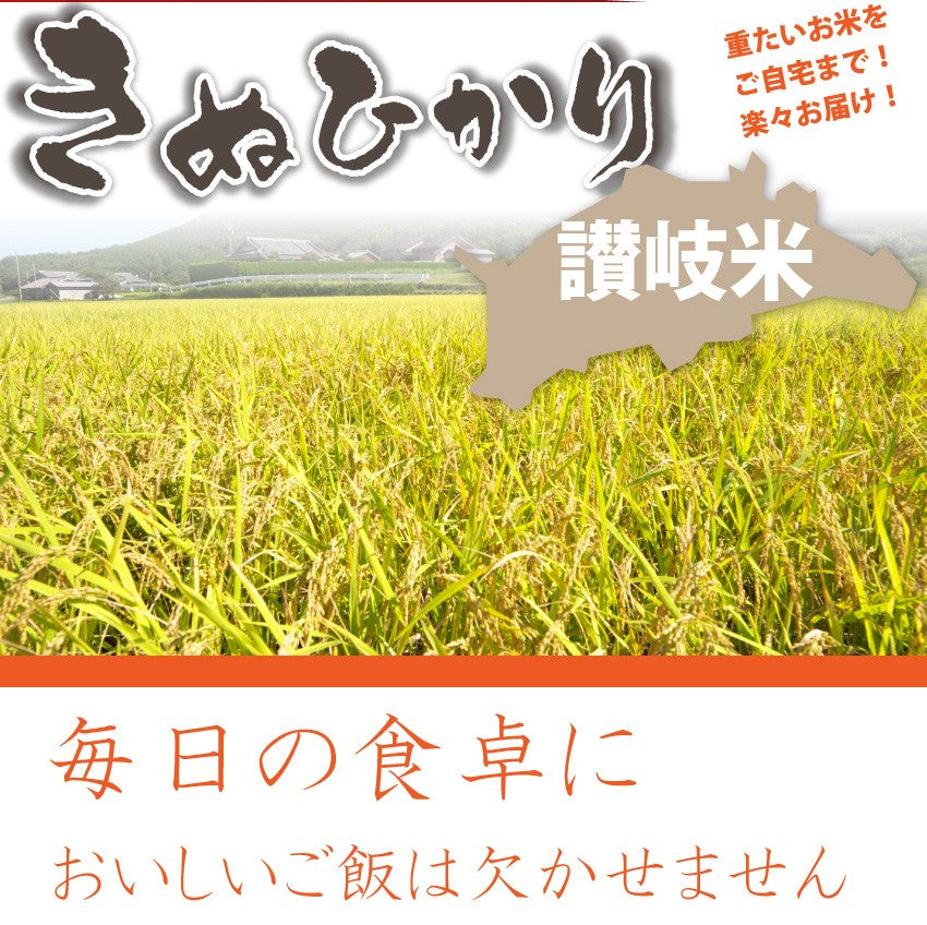 きぬひかり 香川県産 10kg 讃岐米 グルメ お中元 ギフト 食品 プレゼント 女性 男性 お祝い 新生活