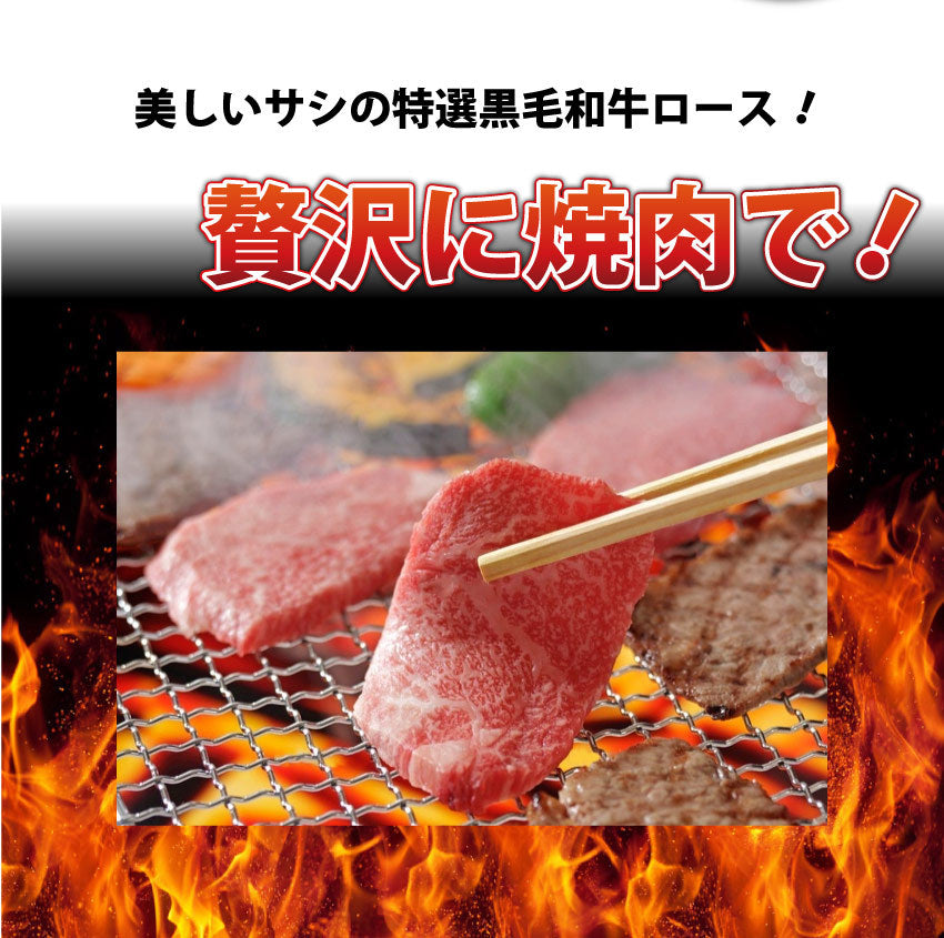 牛肉 肉 プレゼント 特選 オリーブ牛 A4,5等級 とろける 黒毛和牛 ロース 焼肉 500ｇ（250g×2） お中元 ギフト 食品 プレゼント 女性 男性 お祝い 新生活