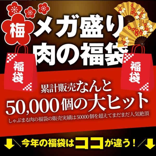 肉 福袋 肉の福袋 「梅福袋」牛肉 食品 メガ盛り 総重量2.5kg超 焼くだけ＆レンジで簡単調理！ランキング1位＆人気のお肉豪華セット 焼肉 ハラミ ランキング1位 ハンバーグ 時短 プレゼント 送料無料