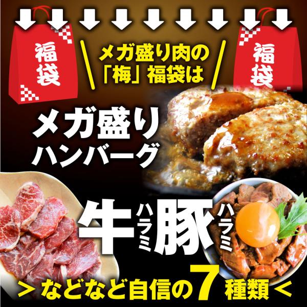 肉 福袋 肉の福袋 「梅福袋」牛肉 食品 メガ盛り 総重量2.5kg超 焼くだけ＆レンジで簡単調理！ランキング1位＆人気のお肉豪華セット 焼肉 ハラミ ランキング1位 ハンバーグ 時短 プレゼント 送料無料