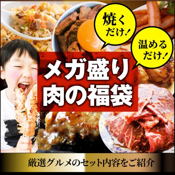 肉 福袋 肉の福袋 「梅福袋」牛肉 食品 メガ盛り 総重量2.5kg超 焼くだけ＆レンジで簡単調理！ランキング1位＆人気のお肉豪華セット 焼肉 ハラミ ランキング1位 ハンバーグ 時短 プレゼント 送料無料