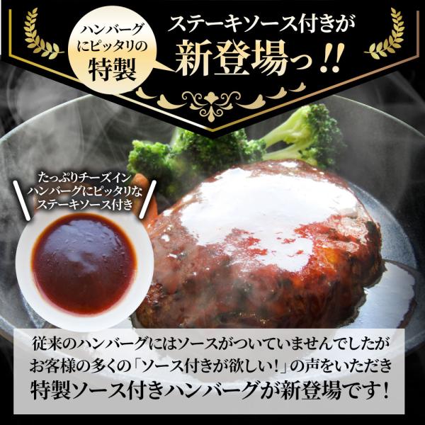 ハンバーグ 特製ソース付き 惣菜 チーズインハンバーグ メガ盛り 5kg 100g×50個 レンジＯＫ 冷凍弁当 爆買