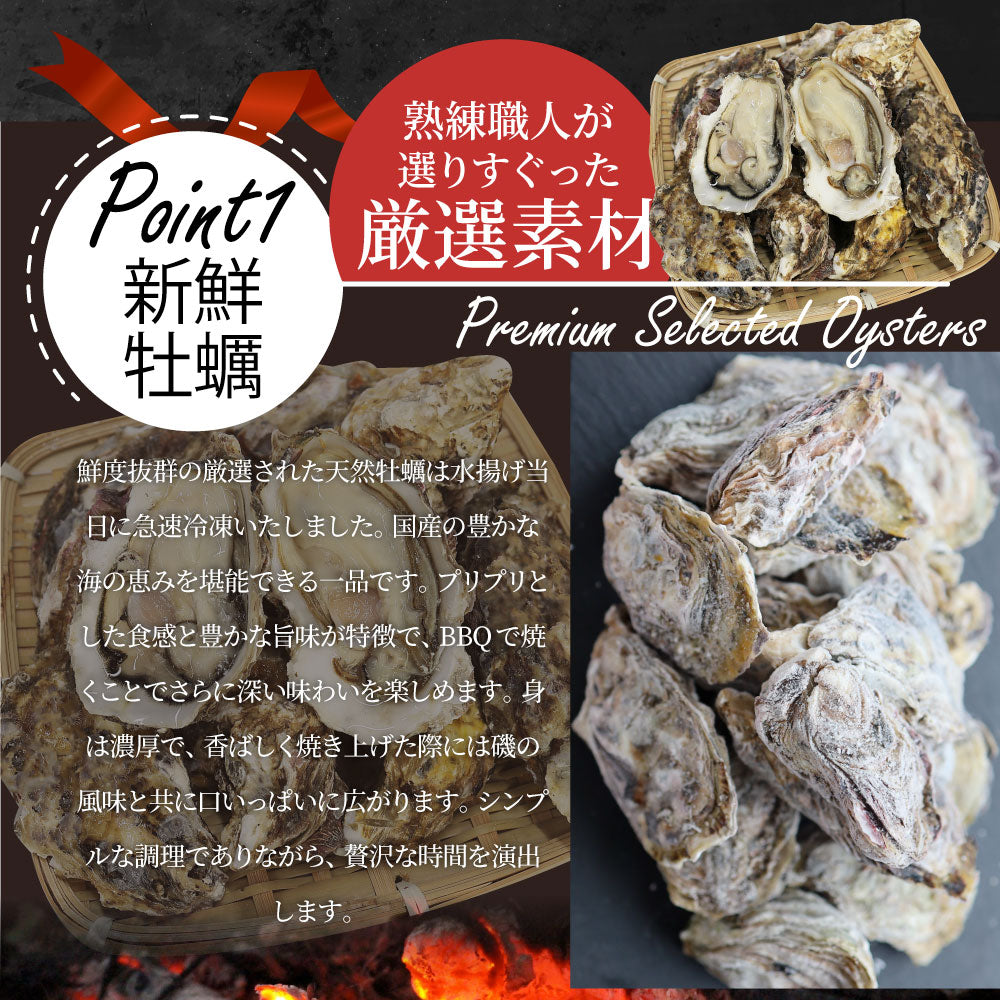 牡蠣焼き バーベキュー 焼肉 セット 2.45kg 5種盛り 肉 海鮮 BBQ 殻付き牡蠣 ハラミ 牛タン 牛ハラミ 牛肉 グルメ アウトドア レジャー やきにく 食材