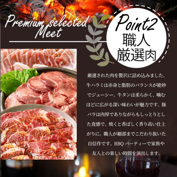 牡蠣焼き バーベキュー 焼肉 セット 2.45kg 5種盛り 肉 海鮮 BBQ 殻付き牡蠣 ハラミ 牛タン 牛ハラミ 牛肉 グルメ アウトドア レジャー やきにく 食材