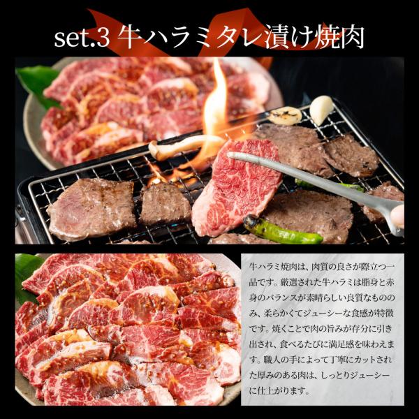 牡蠣焼き バーベキュー 焼肉 セット 2.45kg 5種盛り 肉 海鮮 BBQ 殻付き牡蠣 ハラミ 牛タン 牛ハラミ 牛肉 グルメ アウトドア レジャー やきにく 食材
