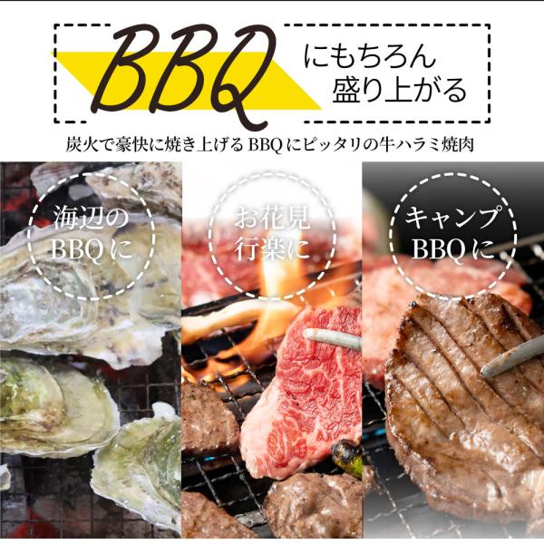 牡蠣焼き バーベキュー 焼肉 セット 2.45kg 5種盛り 肉 海鮮 BBQ 殻付き牡蠣 ハラミ 牛タン 牛ハラミ 牛肉 グルメ アウトドア レジャー やきにく 食材