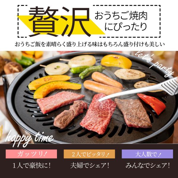 牡蠣焼き バーベキュー 焼肉 セット 2.45kg 5種盛り 肉 海鮮 BBQ 殻付き牡蠣 ハラミ 牛タン 牛ハラミ 牛肉 グルメ アウトドア レジャー やきにく 食材