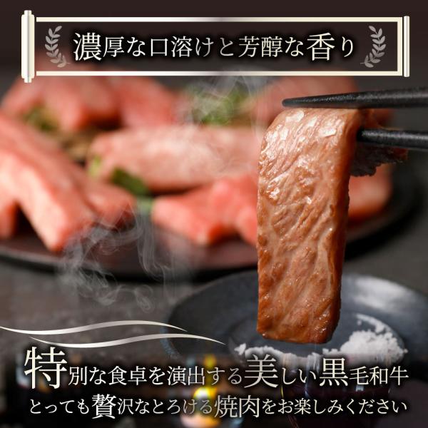 母の日 父の日 9種3段　豪華絢爛(けんらん) 焼肉ギフト 霜降り 牛肉 黒毛和牛 ギフト 贅沢 国産 黒毛 和牛 祝い グルメ 誕生日 焼肉 セット 牛 内祝 真空密封包装 (コピー)