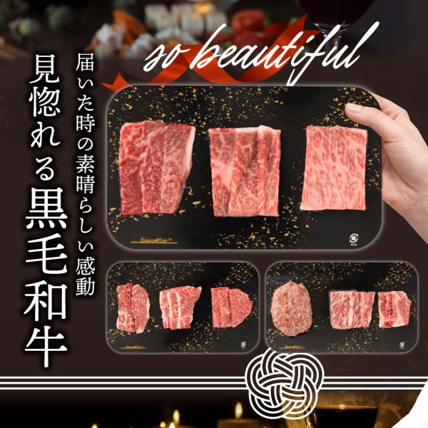 母の日 父の日 9種3段　豪華絢爛(けんらん) 焼肉ギフト 霜降り 牛肉 黒毛和牛 ギフト 贅沢 国産 黒毛 和牛 祝い グルメ 誕生日 焼肉 セット 牛 内祝 真空密封包装 (コピー)