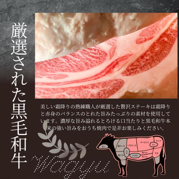 母の日 父の日 9種3段　豪華絢爛(けんらん) 焼肉ギフト 霜降り 牛肉 黒毛和牛 ギフト 贅沢 国産 黒毛 和牛 祝い グルメ 誕生日 焼肉 セット 牛 内祝 真空密封包装 (コピー)