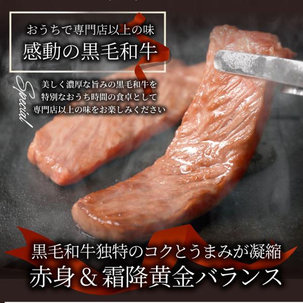 母の日 父の日 9種3段　豪華絢爛(けんらん) 焼肉ギフト 霜降り 牛肉 黒毛和牛 ギフト 贅沢 国産 黒毛 和牛 祝い グルメ 誕生日 焼肉 セット 牛 内祝 真空密封包装 (コピー)