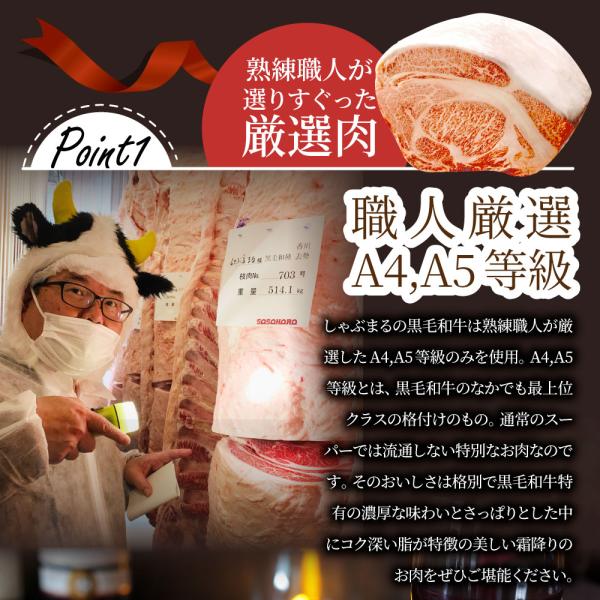 母の日 父の日 9種3段　豪華絢爛(けんらん) 焼肉ギフト 霜降り 牛肉 黒毛和牛 ギフト 贅沢 国産 黒毛 和牛 祝い グルメ 誕生日 焼肉 セット 牛 内祝 真空密封包装 (コピー)