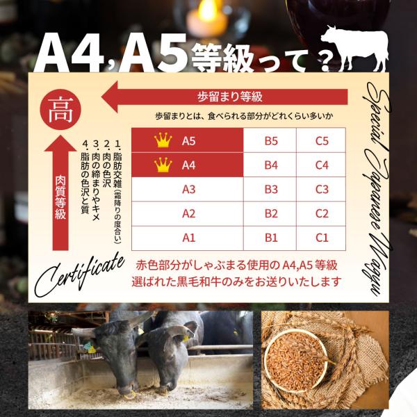 母の日 父の日 9種3段　豪華絢爛(けんらん) 焼肉ギフト 霜降り 牛肉 黒毛和牛 ギフト 贅沢 国産 黒毛 和牛 祝い グルメ 誕生日 焼肉 セット 牛 内祝 真空密封包装 (コピー)