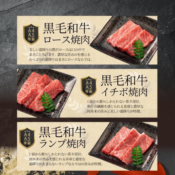 母の日 父の日 9種3段　豪華絢爛(けんらん) 焼肉ギフト 霜降り 牛肉 黒毛和牛 ギフト 贅沢 国産 黒毛 和牛 祝い グルメ 誕生日 焼肉 セット 牛 内祝 真空密封包装 (コピー)