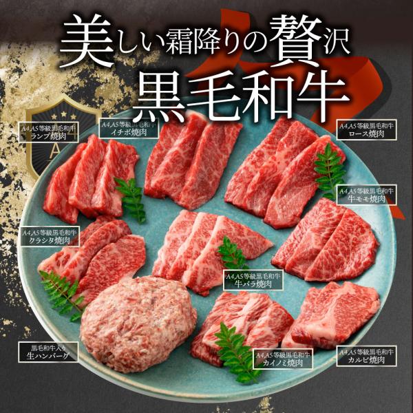 母の日 父の日 9種3段　豪華絢爛(けんらん) 焼肉ギフト 霜降り 牛肉 黒毛和牛 ギフト 贅沢 国産 黒毛 和牛 祝い グルメ 誕生日 焼肉 セット 牛 内祝 真空密封包装 (コピー)