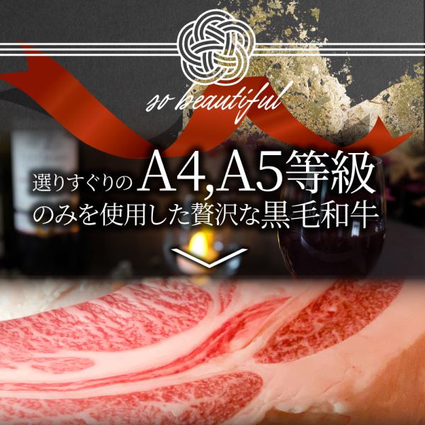 母の日 父の日 9種3段　豪華絢爛(けんらん) 焼肉ギフト 霜降り 牛肉 黒毛和牛 ギフト 贅沢 国産 黒毛 和牛 祝い グルメ 誕生日 焼肉 セット 牛 内祝 真空密封包装 (コピー)
