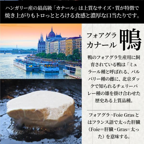 肉 牛肉 お中元 ギフト 食品 プレゼント お祝い 国産牛 ランプステーキ フォアグラ セット 2人前 ステーキ130g×2枚＆フォアグラ2個