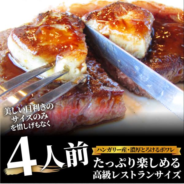 肉 牛肉 お中元 ギフト 食品 プレゼント お祝い 国産牛 ランプステーキ フォアグラ セット 4人前 ステーキ130g×4枚＆フォアグラ4個
