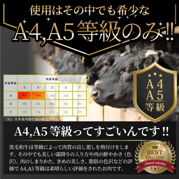黒毛和牛 ヒレステーキ & フォアグラセット 2人前（ステーキ130g×2枚＆フォアグラ2個）国産牛 A4,A5等級 ヒレステーキ